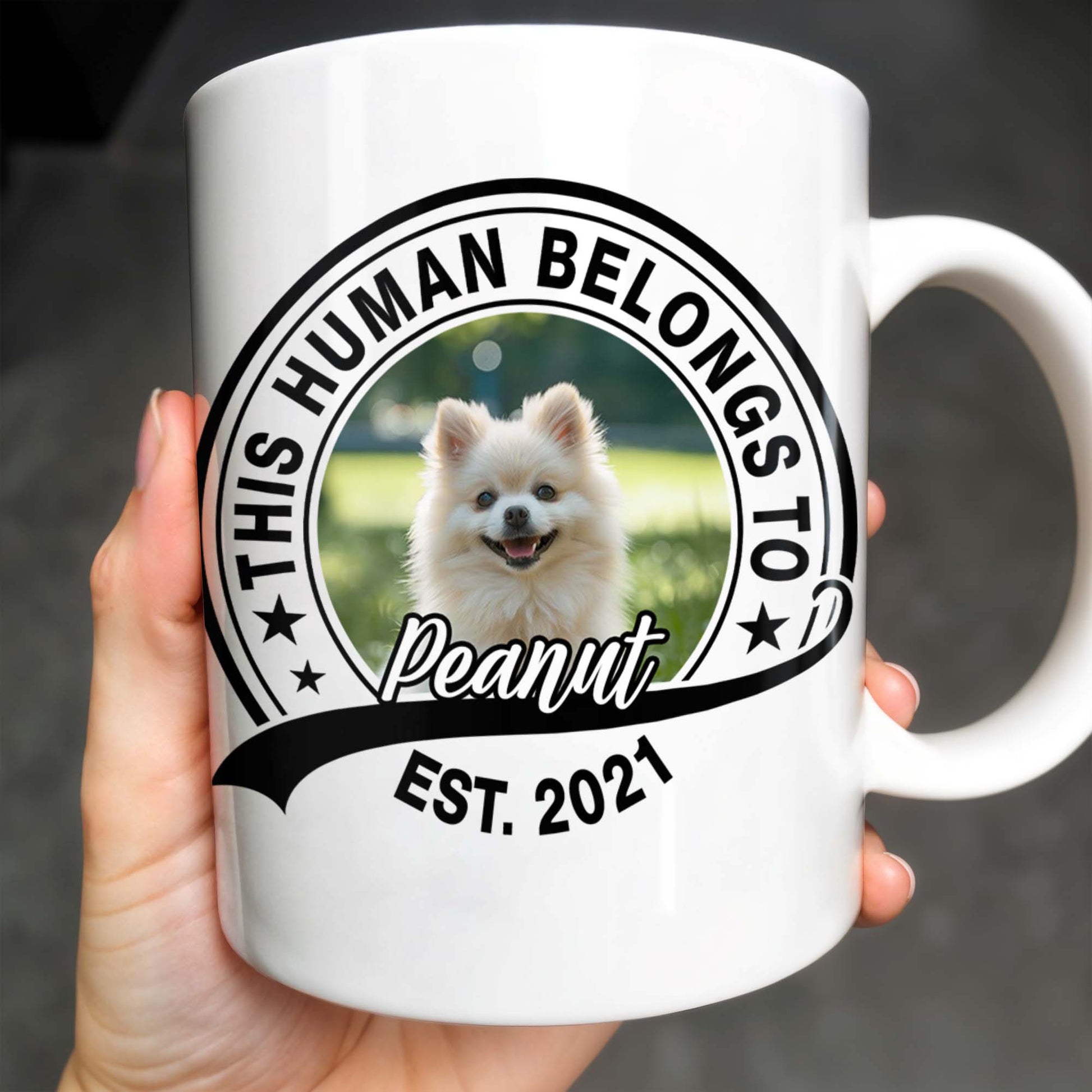 This Human Belongs To Customizable Pet