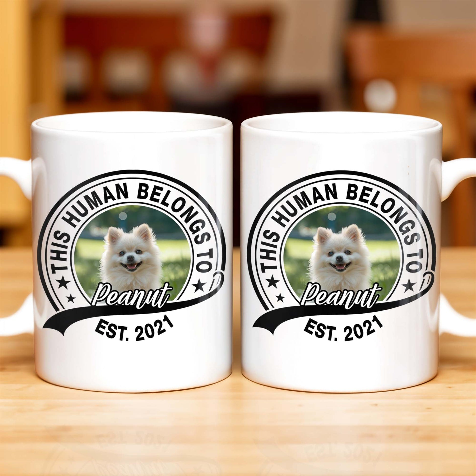 This Human Belongs To Customizable Pet