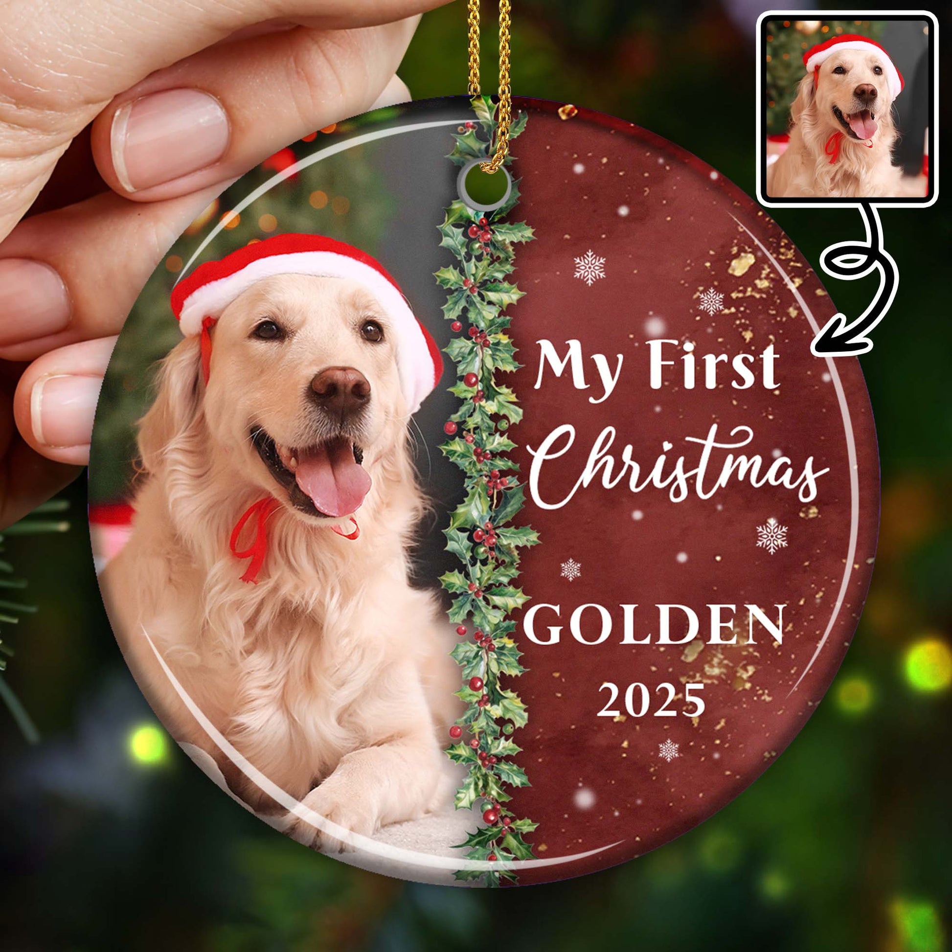 My First Christmas Golden With Dog And Santa Hat