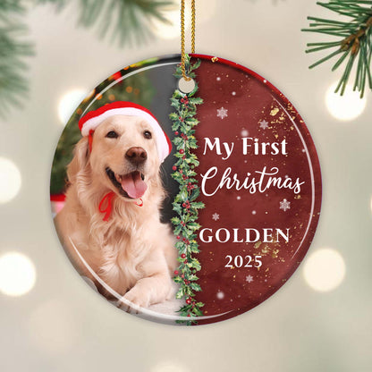 My First Christmas Golden With Dog And Santa Hat
