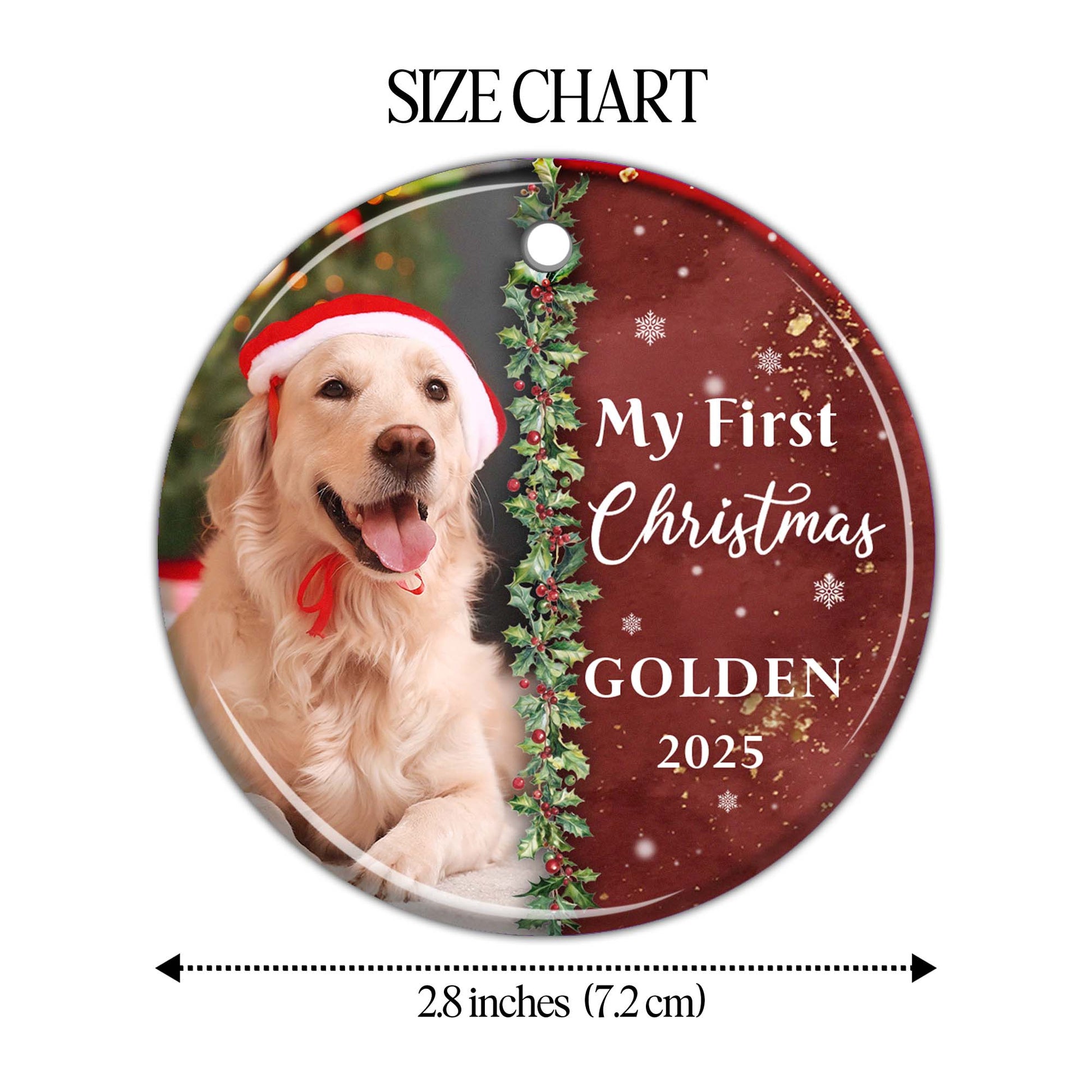 My First Christmas Golden With Dog And Santa Hat