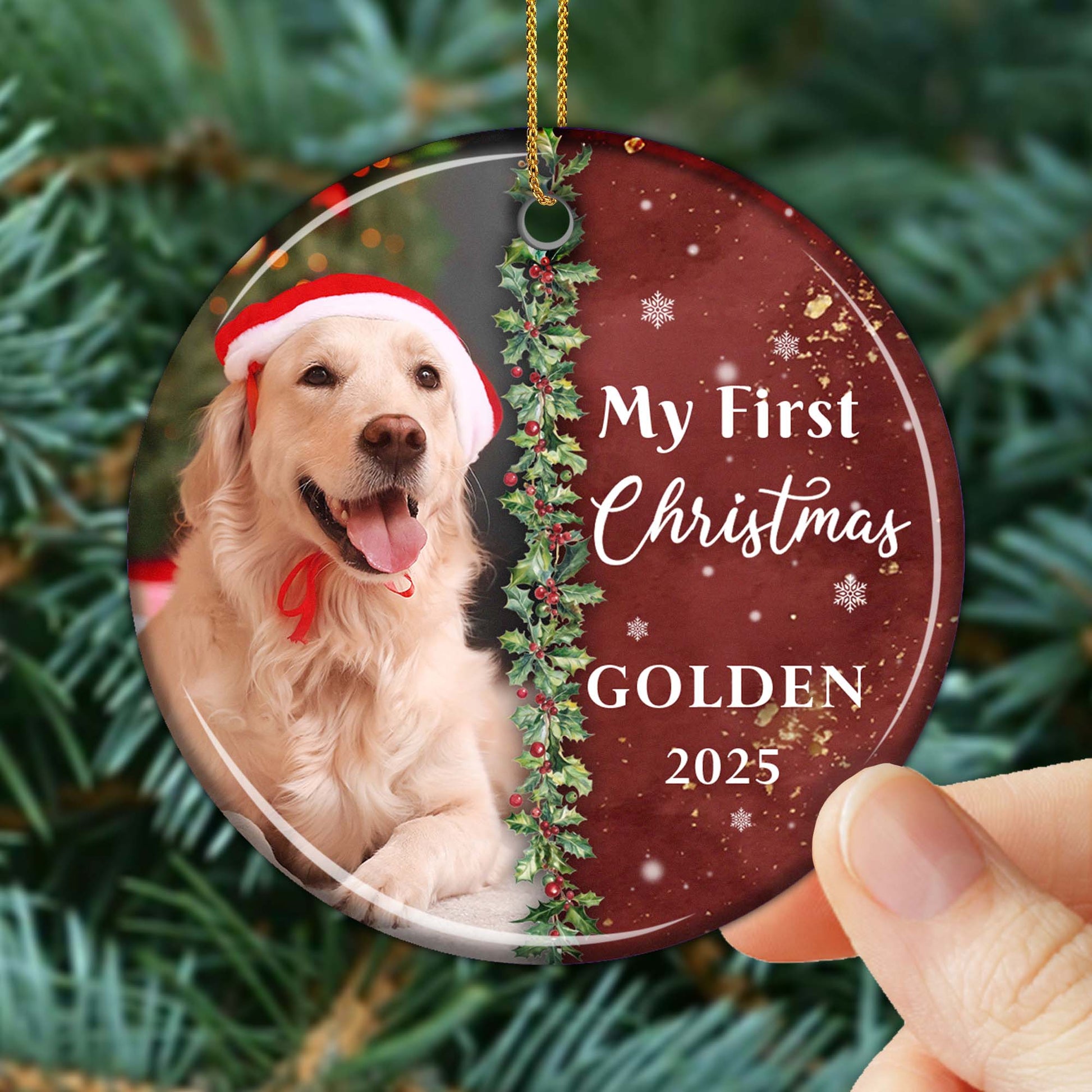 My First Christmas Golden With Dog And Santa Hat