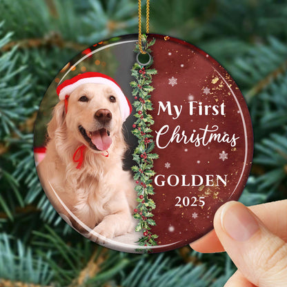 My First Christmas Golden With Dog And Santa Hat