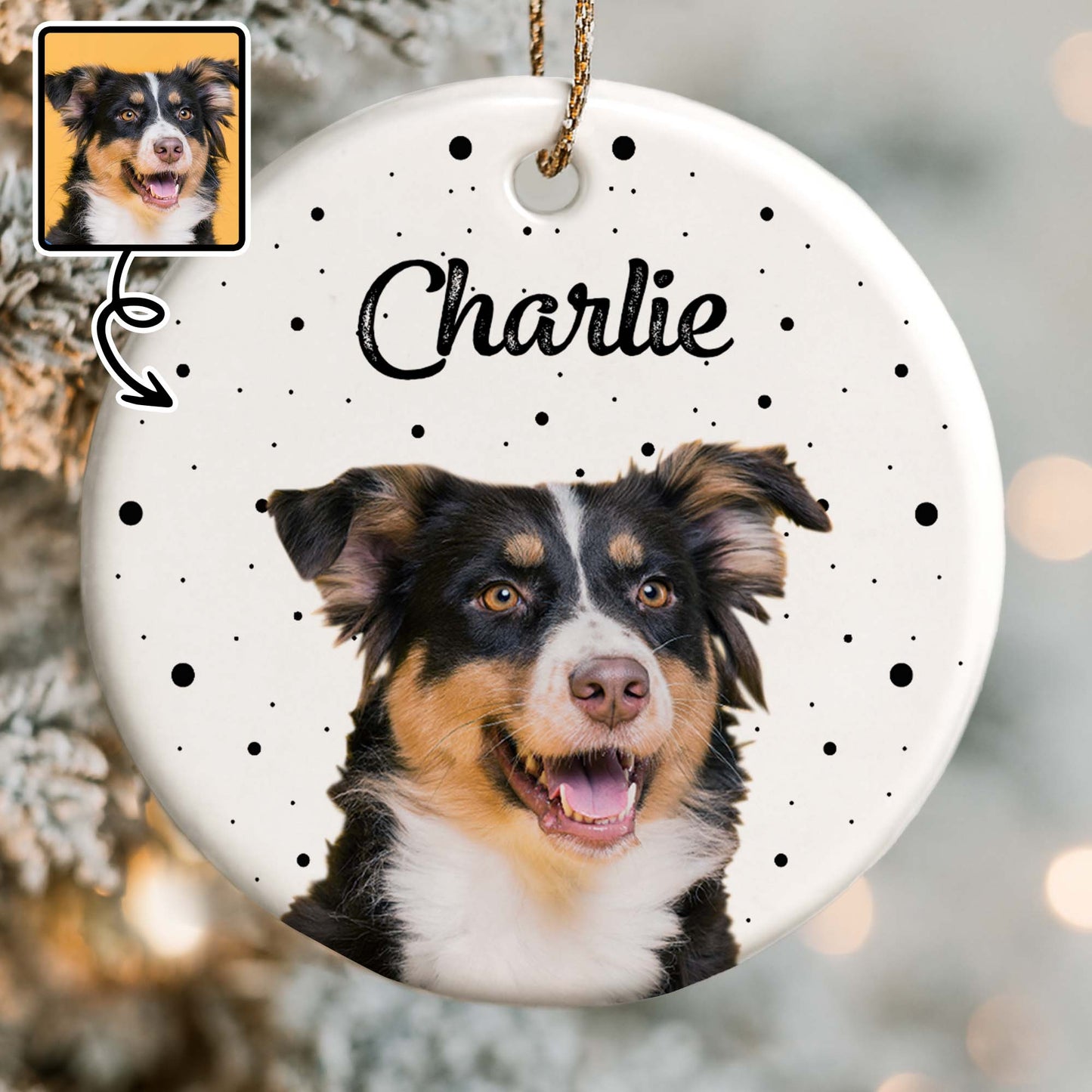 Celebrate Your Furry Friend With Paws And Dots Design