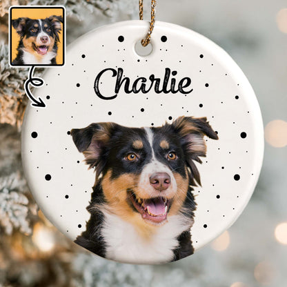 Celebrate Your Furry Friend With Paws And Dots Design