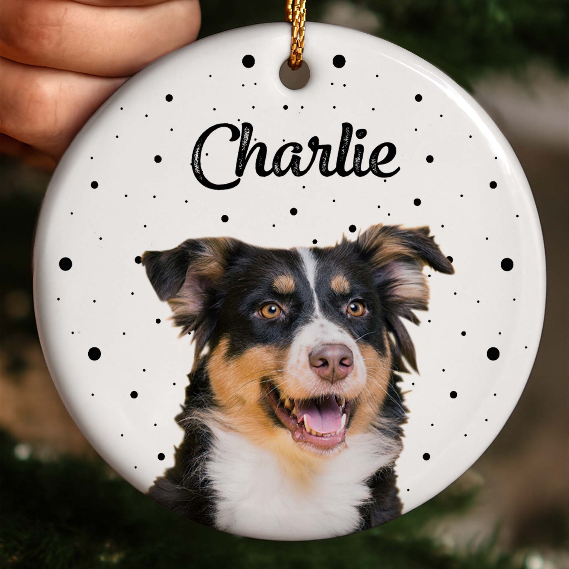 Celebrate Your Furry Friend With Paws And Dots Design