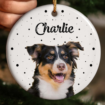 Celebrate Your Furry Friend With Paws And Dots Design