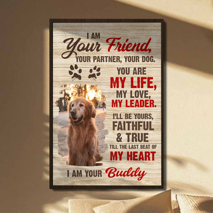 I Am Your Friend, Your Partner, Your Dog