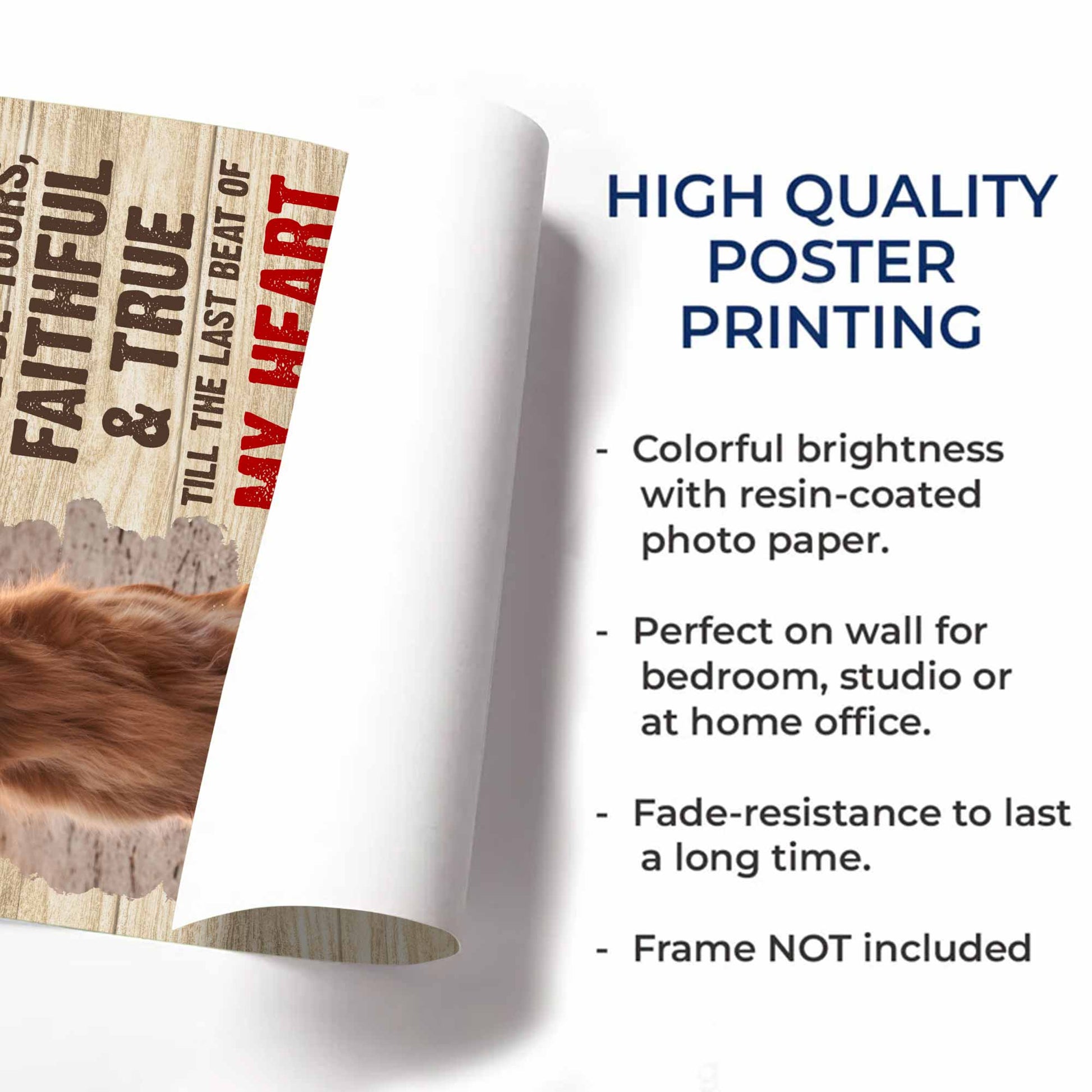 I Am Your Friend, Your Partner, Your Dog