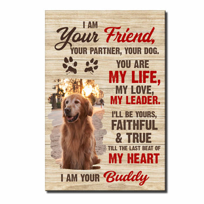 I Am Your Friend, Your Partner, Your Dog