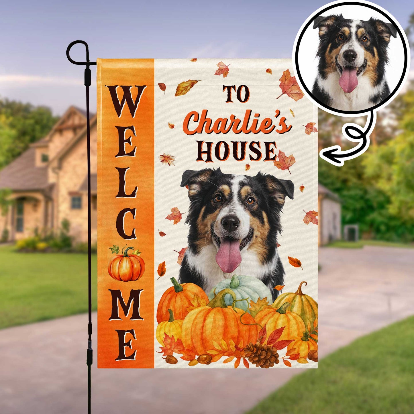 Welcome To Charlie's House With Dog And Pumpkins