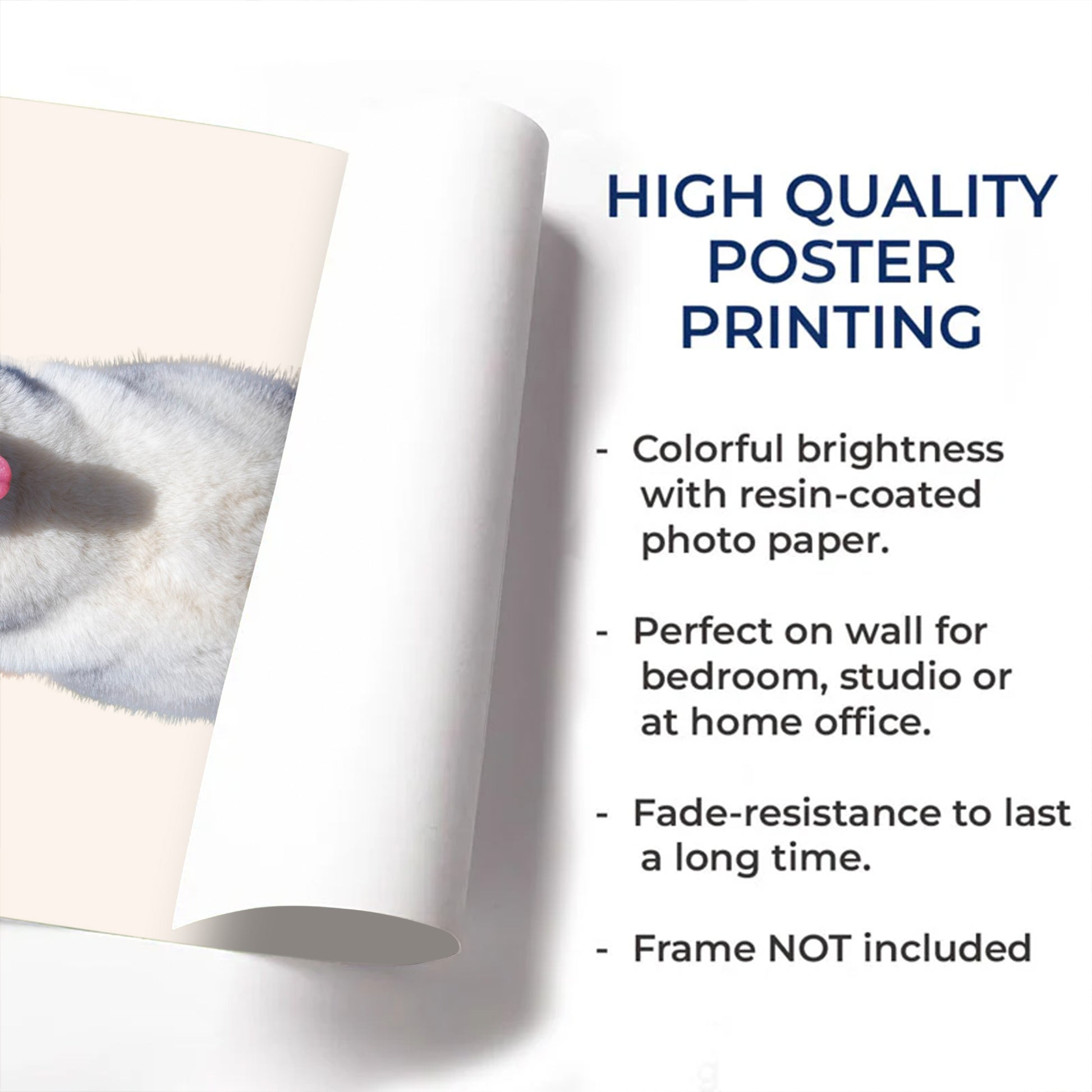 To My Beloved Buddy, A Friend Forever