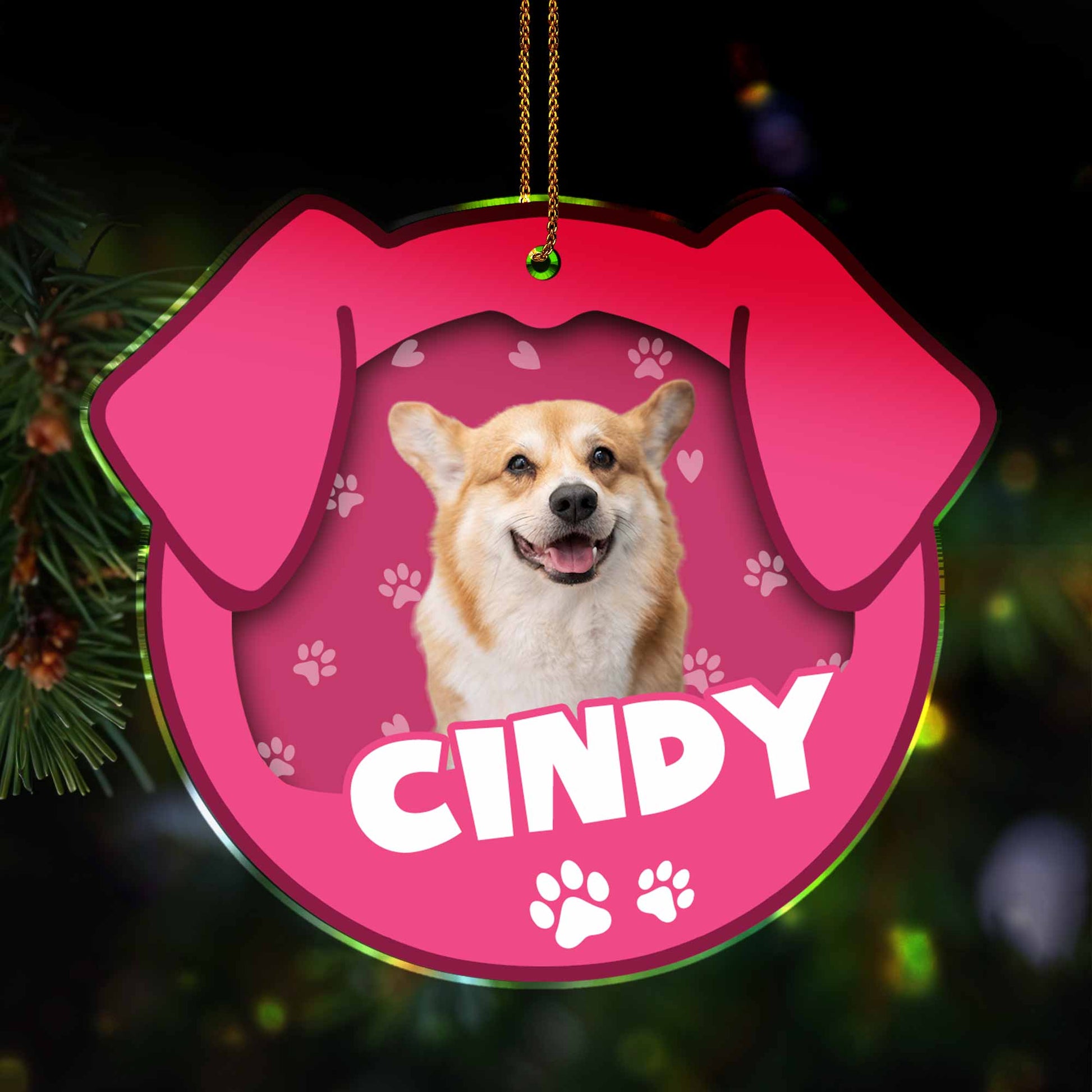 Personalized Pet Acrylic Ornament With Paw Prints
