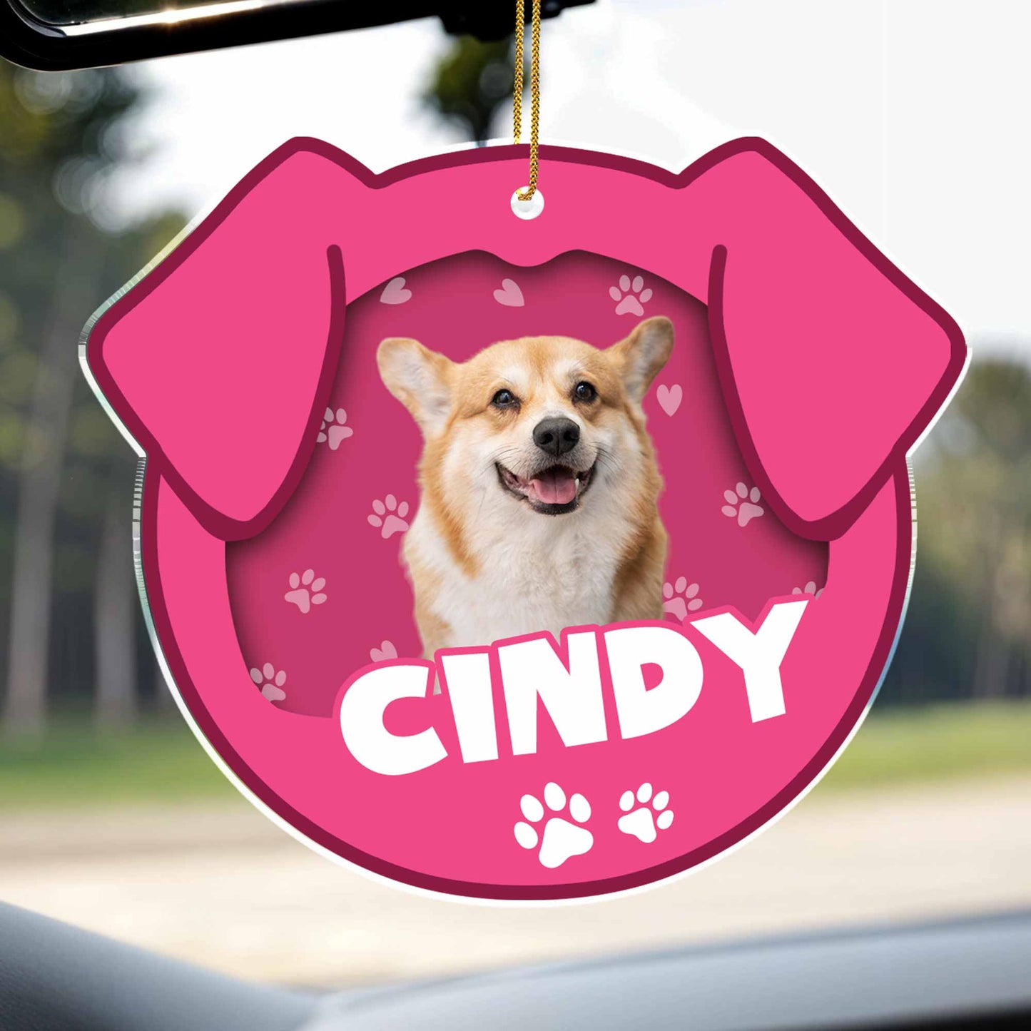 Personalized Pet Acrylic Ornament With Paw Prints