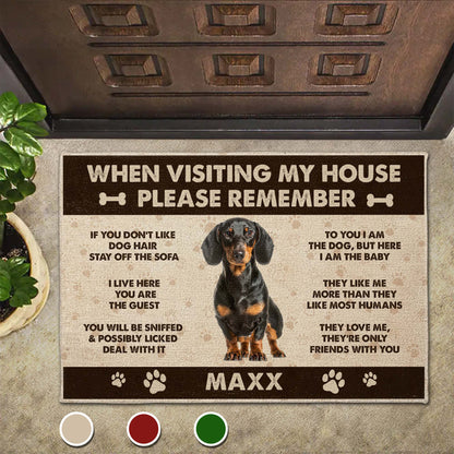 When Visiting My House Please Remember Dog Paw Prints - Personalized Custom Doormat - DOG069_DRM