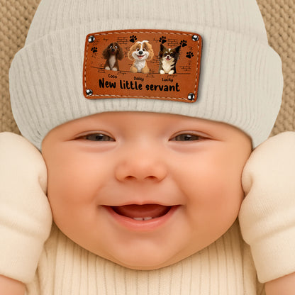 New Little Servant With Cute Dogs And Paws