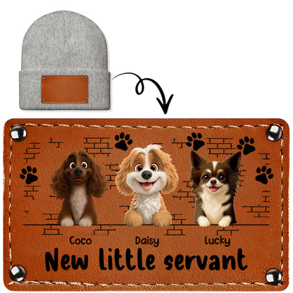 New Little Servant With Cute Dogs And Paws