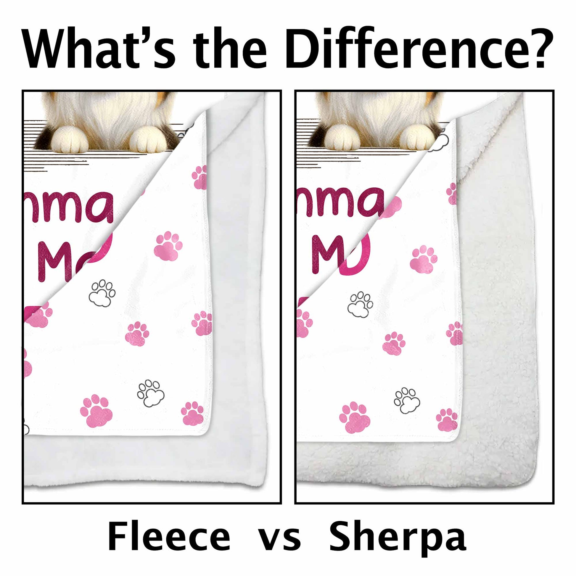 New Best Friend With Adorable Dogs