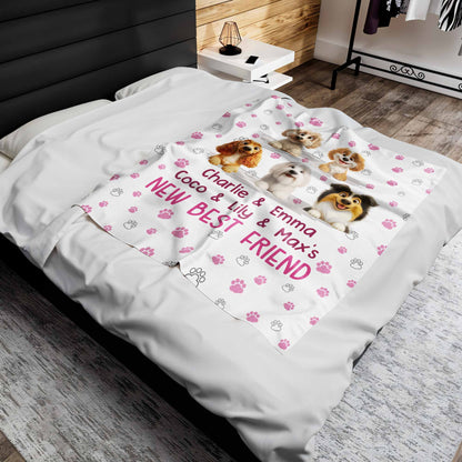 New Best Friend With Adorable Dogs