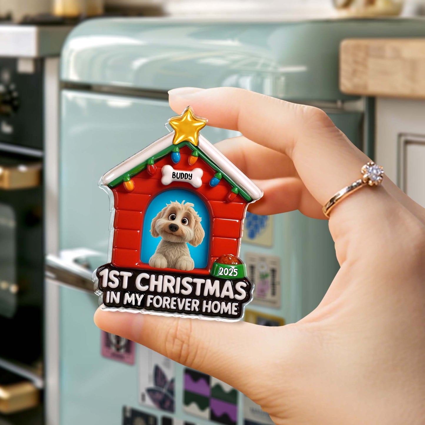 1st Christmas In My Forever Home, Dog House With Lights