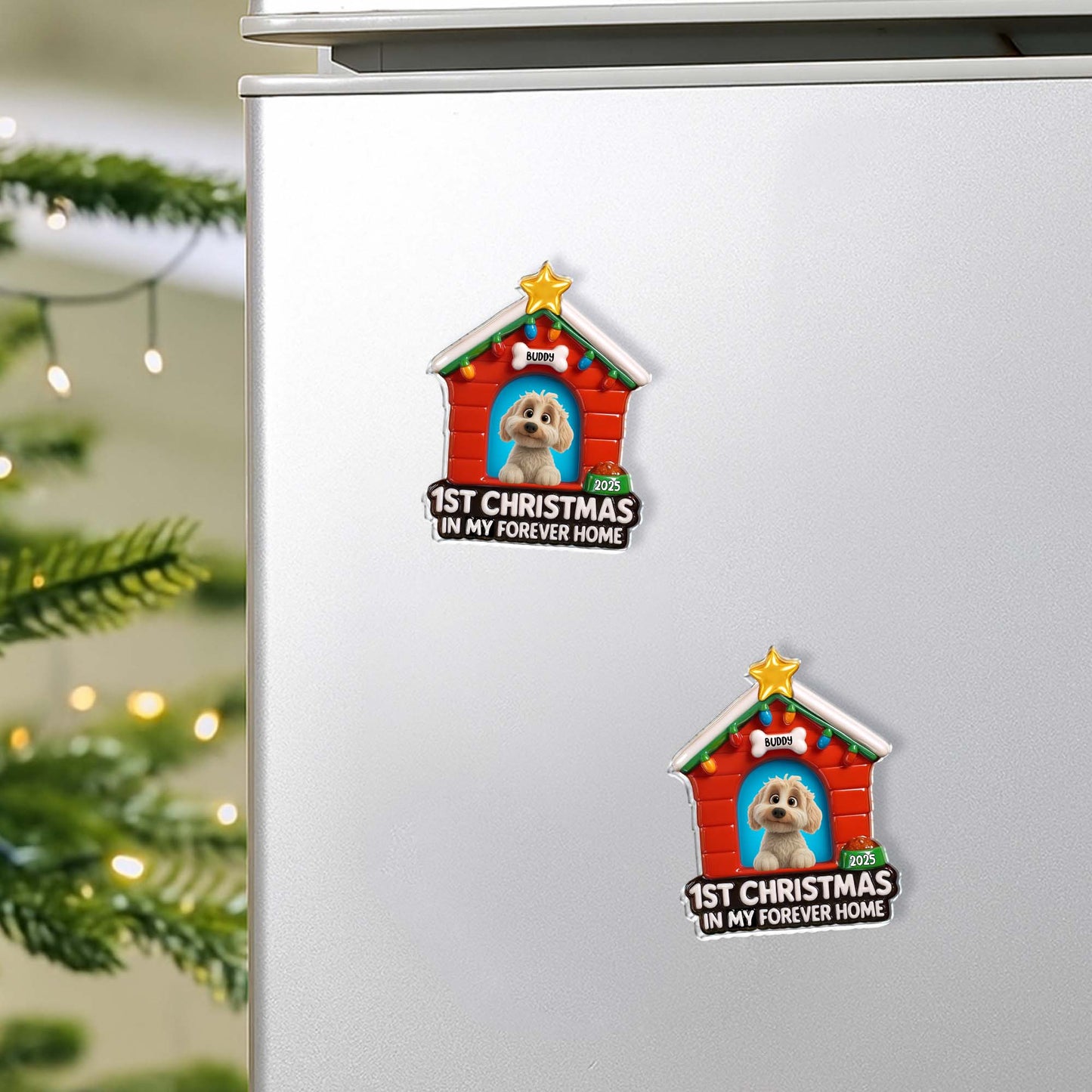 1st Christmas In My Forever Home, Dog House With Lights