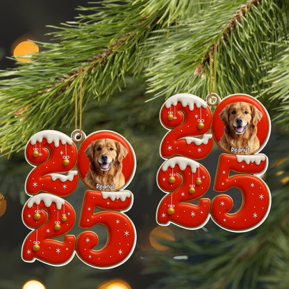 Celebrate Holiday Joy With Your Furry Friend