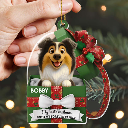 My First Christmas, Dog and Gift Boxes