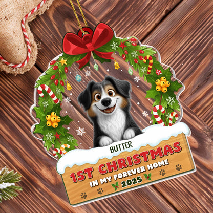 1st Christmas In My Forever Home With Dog And Christmas Wreath