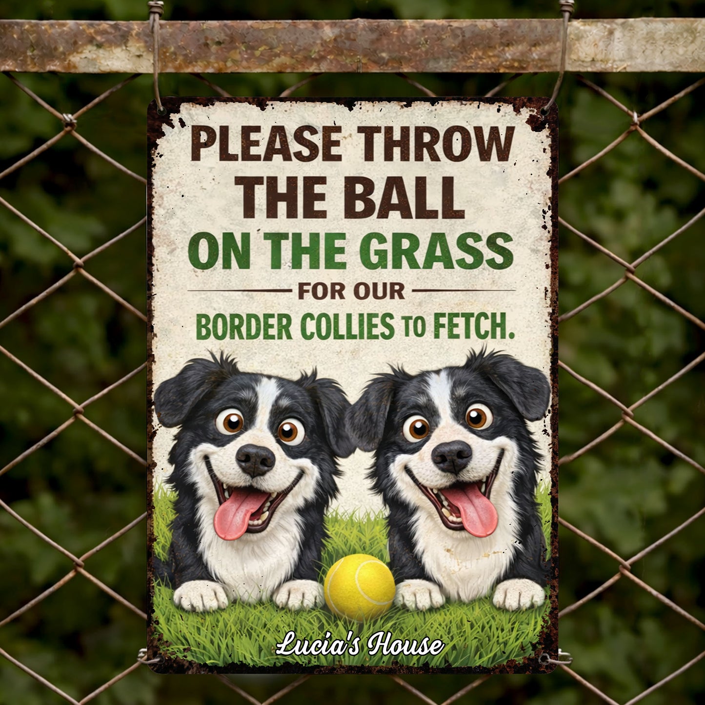 Please Throw The Ball On The Grass Border Collies Dogs