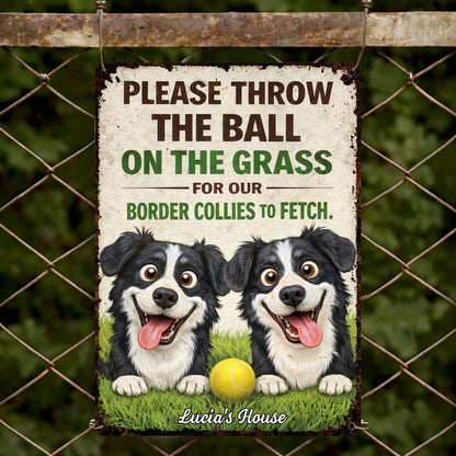 Please Throw The Ball On The Grass Border Collies Dogs