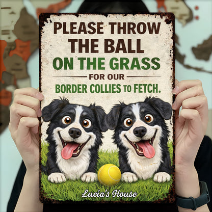 Please Throw The Ball On The Grass Border Collies Dogs