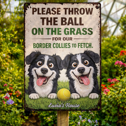 Please Throw The Ball On The Grass Border Collies Dogs