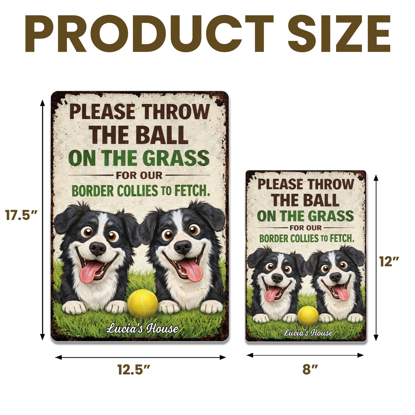 Please Throw The Ball On The Grass Border Collies Dogs