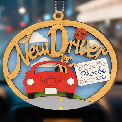 New Driver Stop With Car Design