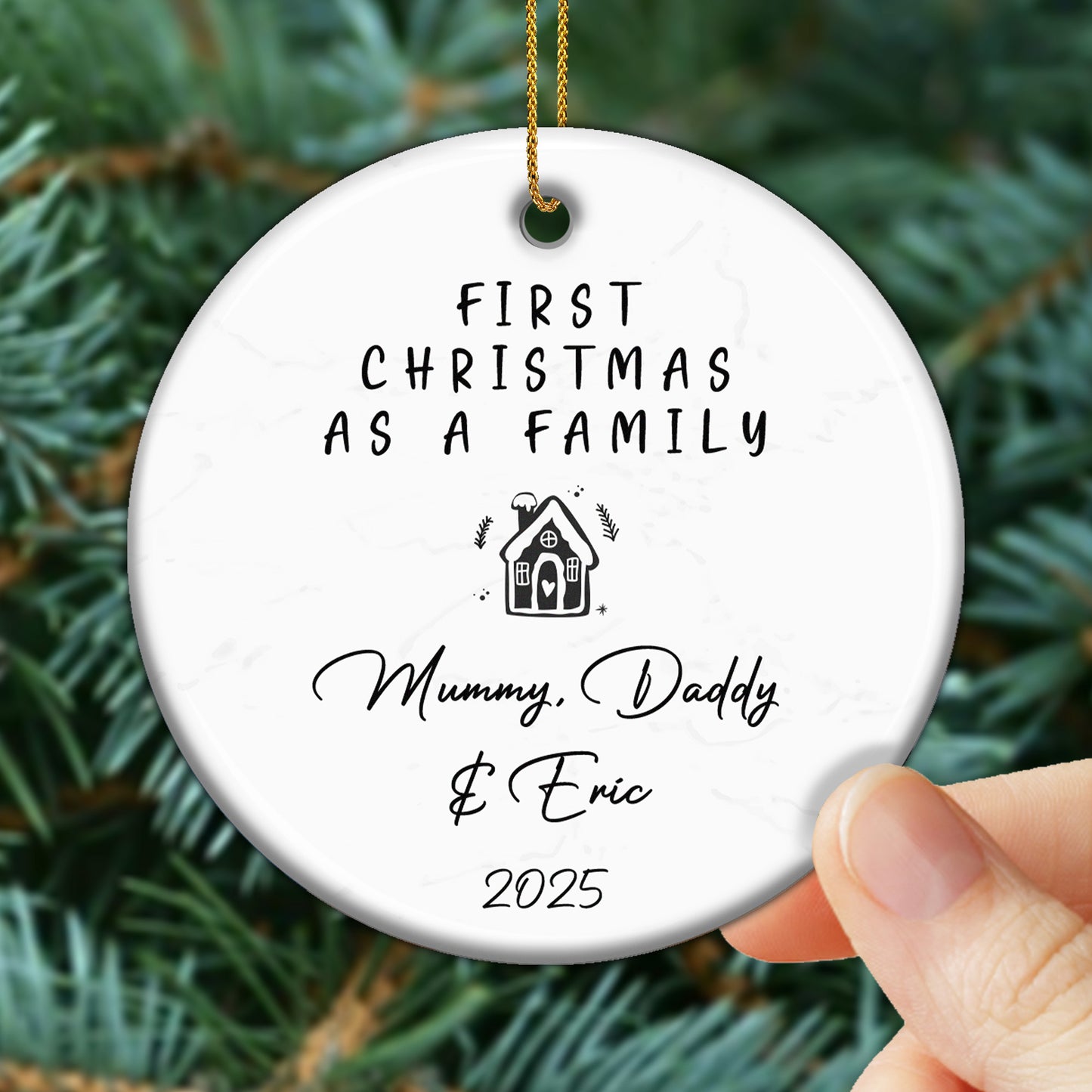 First Christmas As A Family With House Design