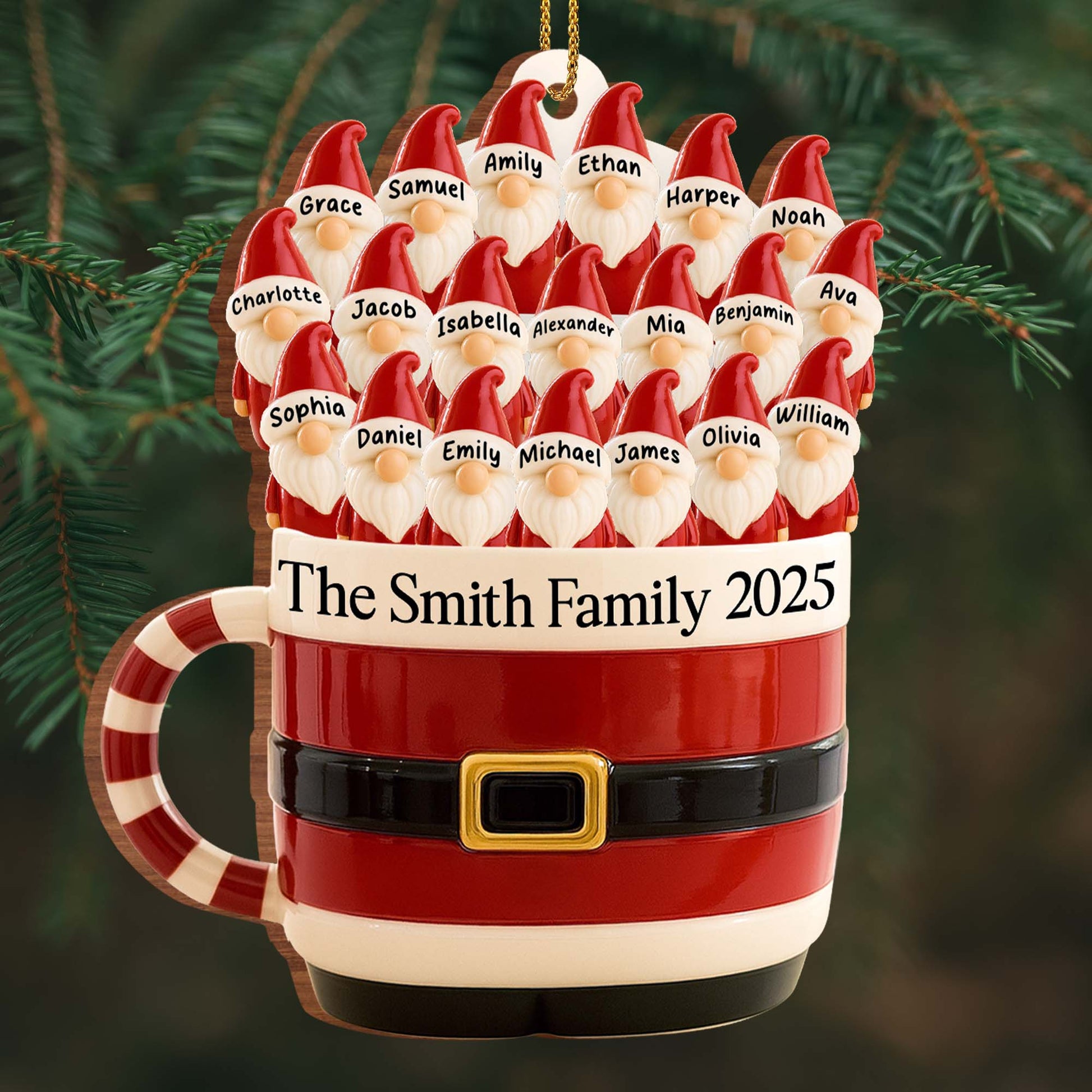 Celebrate Your Family This Christmas With Santa Hat And Belt