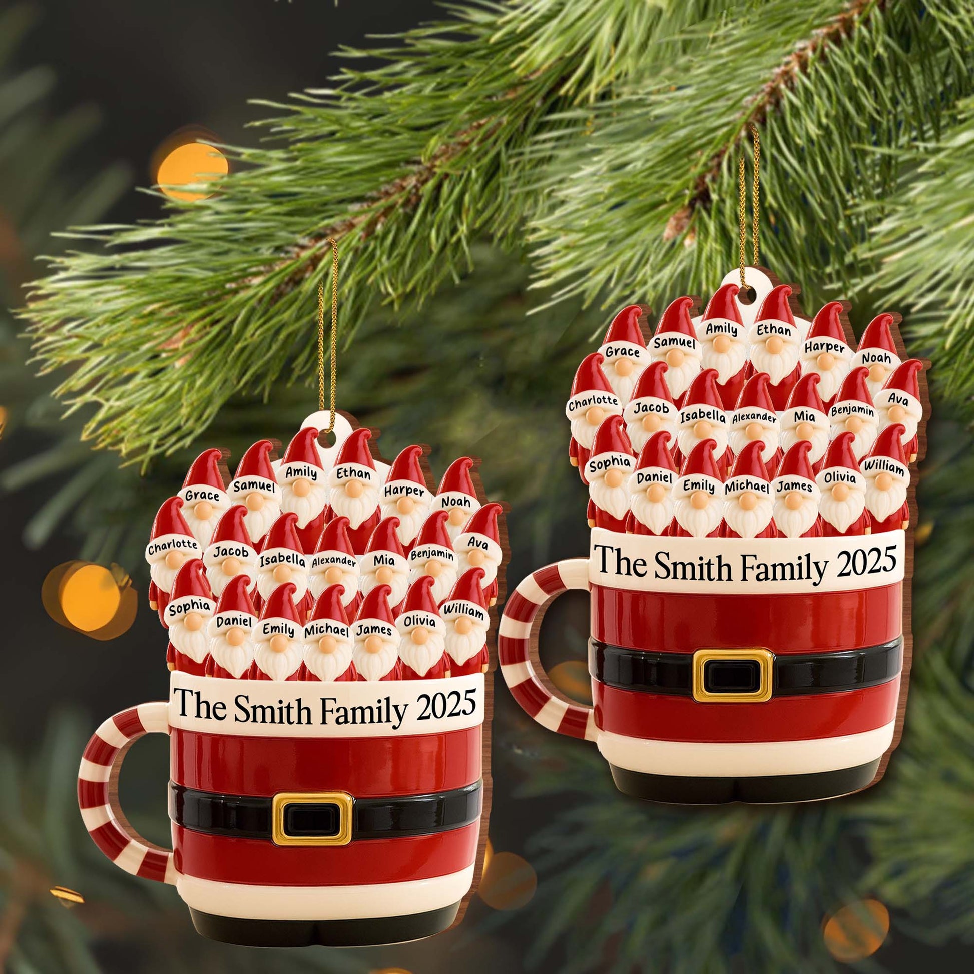 Celebrate Your Family This Christmas With Santa Hat And Belt