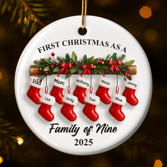 First Christmas As A Family of Nine