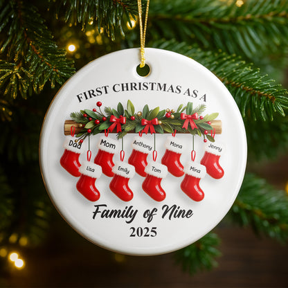 First Christmas As A Family of Nine