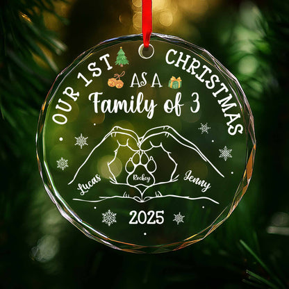 Our 1st Christmas As A Family of 3, With Hands and Paws