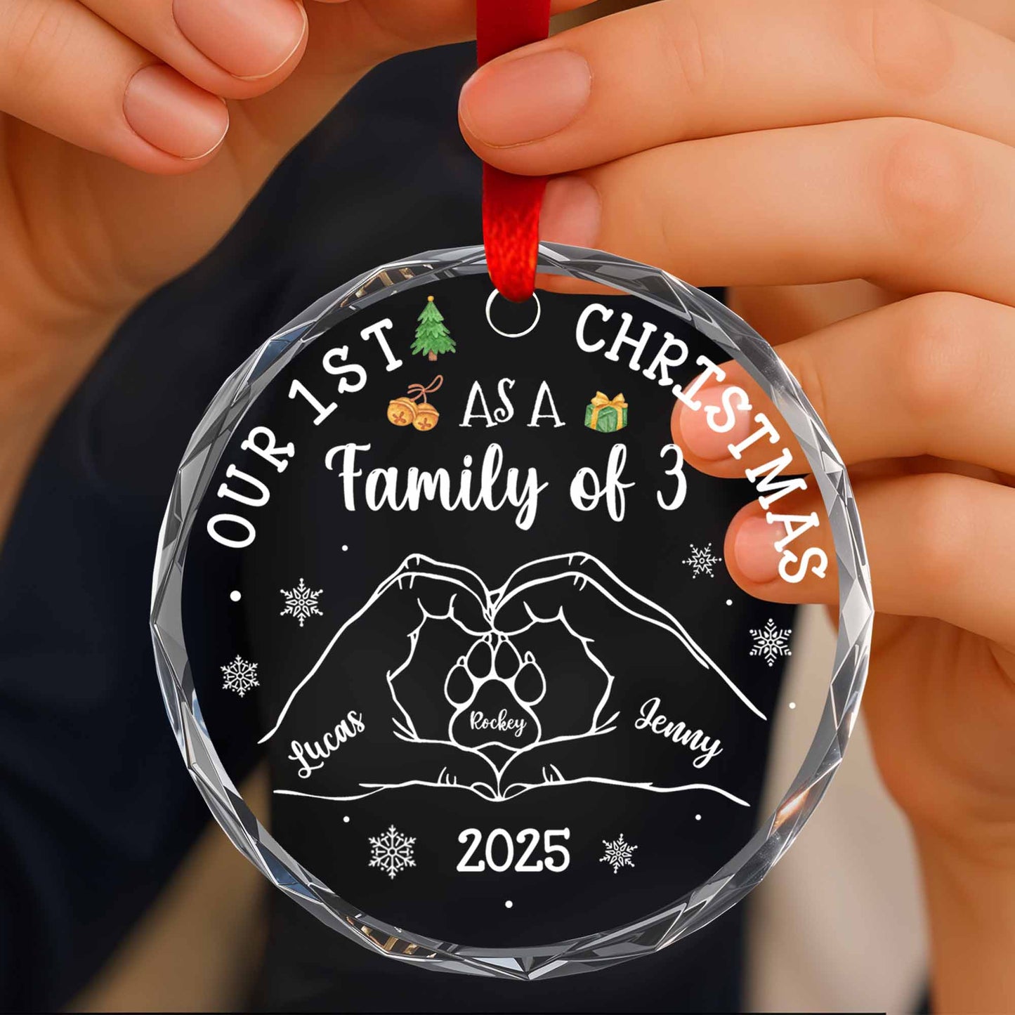 Our 1st Christmas As A Family of 3, With Hands and Paws