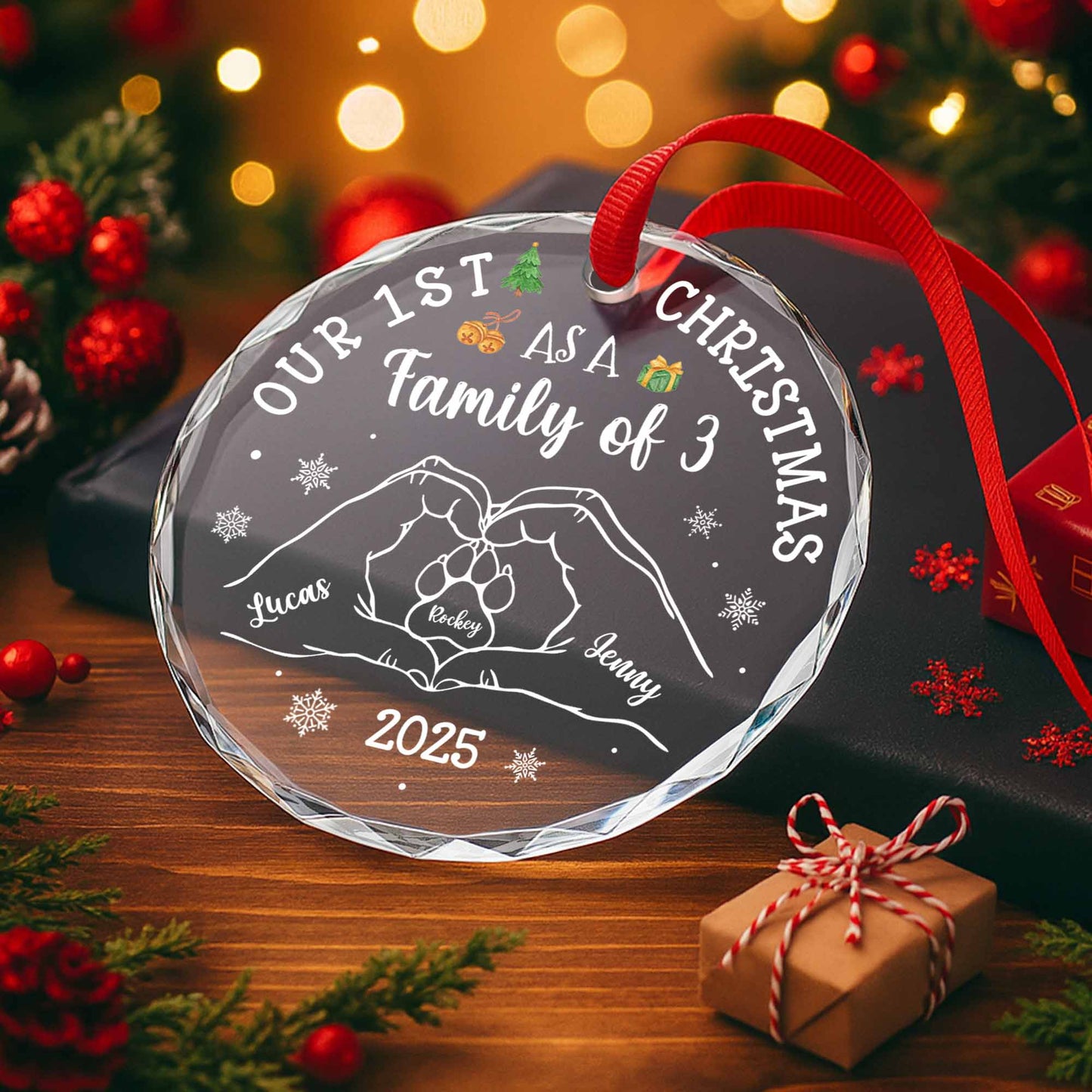 Our 1st Christmas As A Family of 3, With Hands and Paws