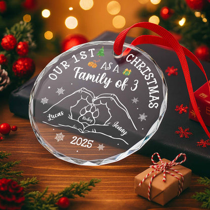 Our 1st Christmas As A Family of 3, With Hands and Paws