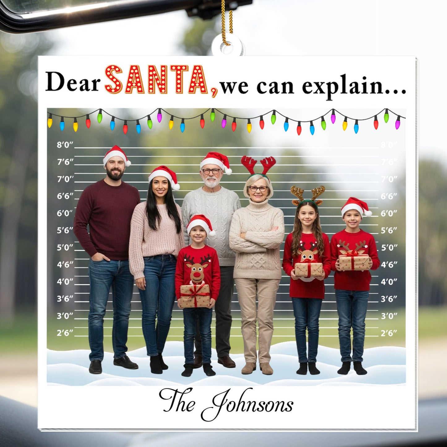 Dear Santa We Can Explain, Santa Hats, Christmas Lights