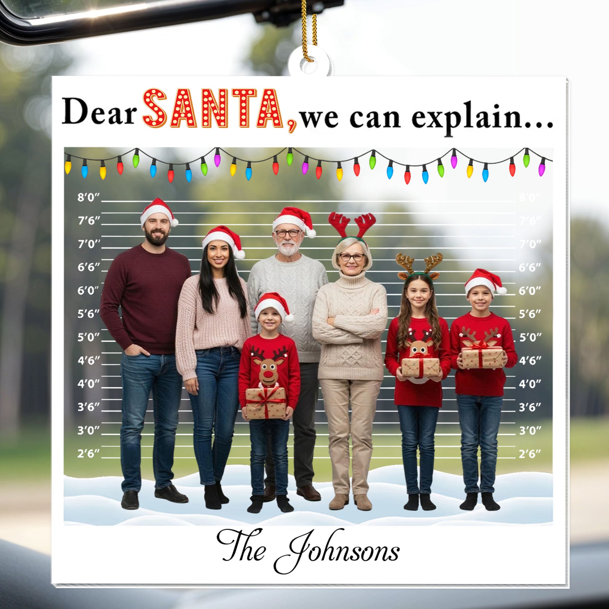 Dear Santa We Can Explain, Santa Hats, Christmas Lights