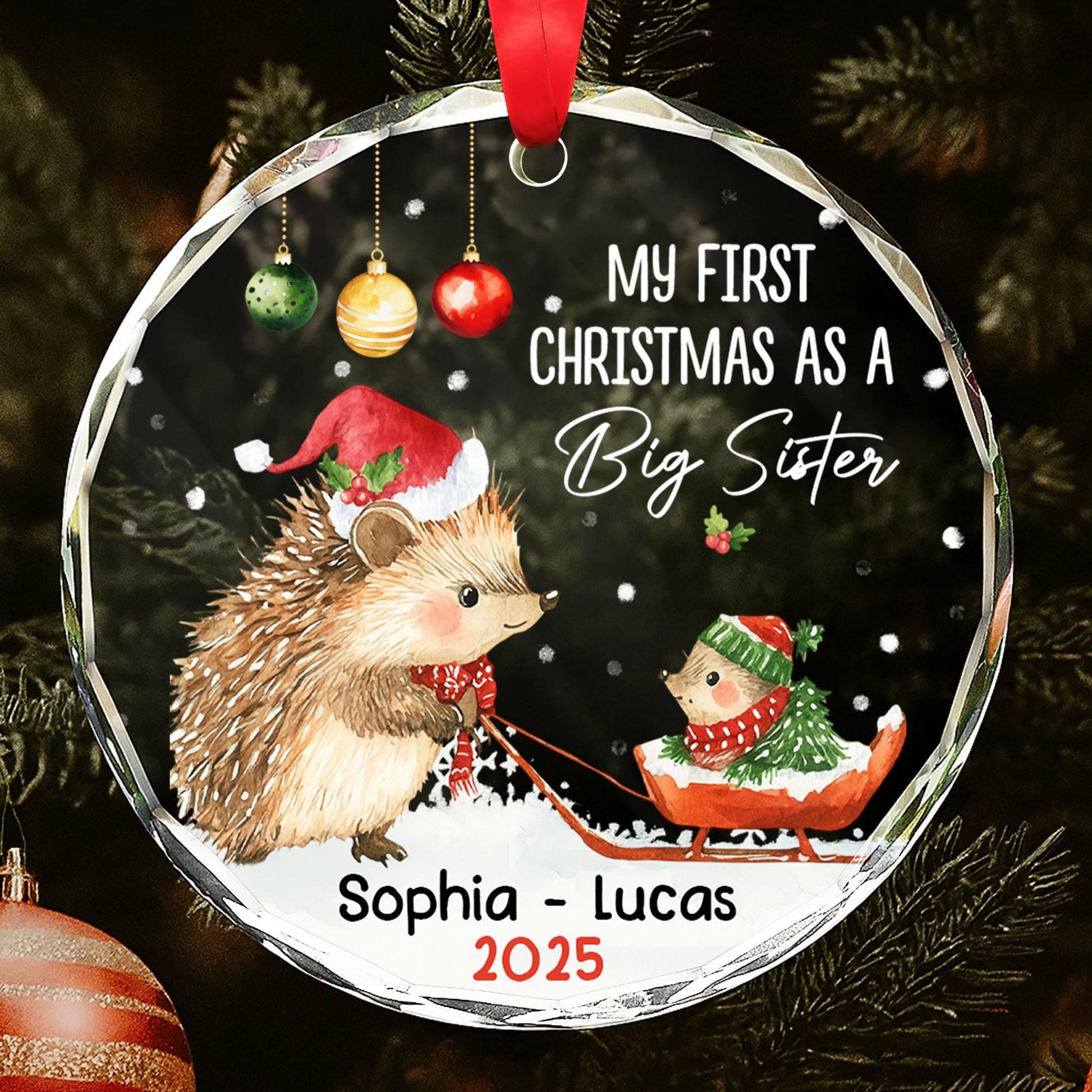 My First Christmas As A Big Sister With Hedgehogs