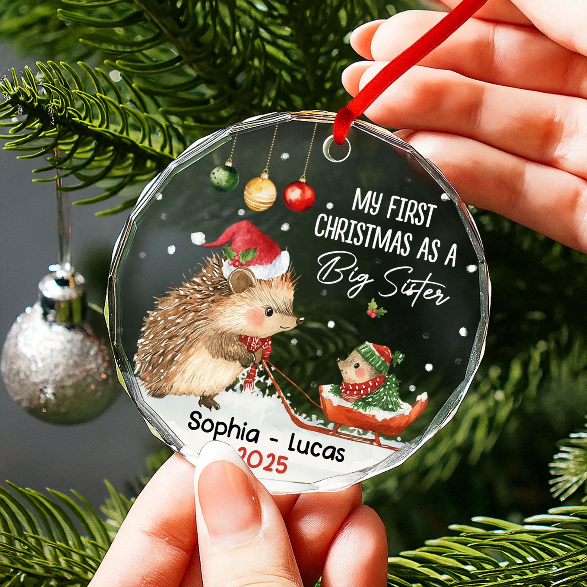 My First Christmas As A Big Sister With Hedgehogs