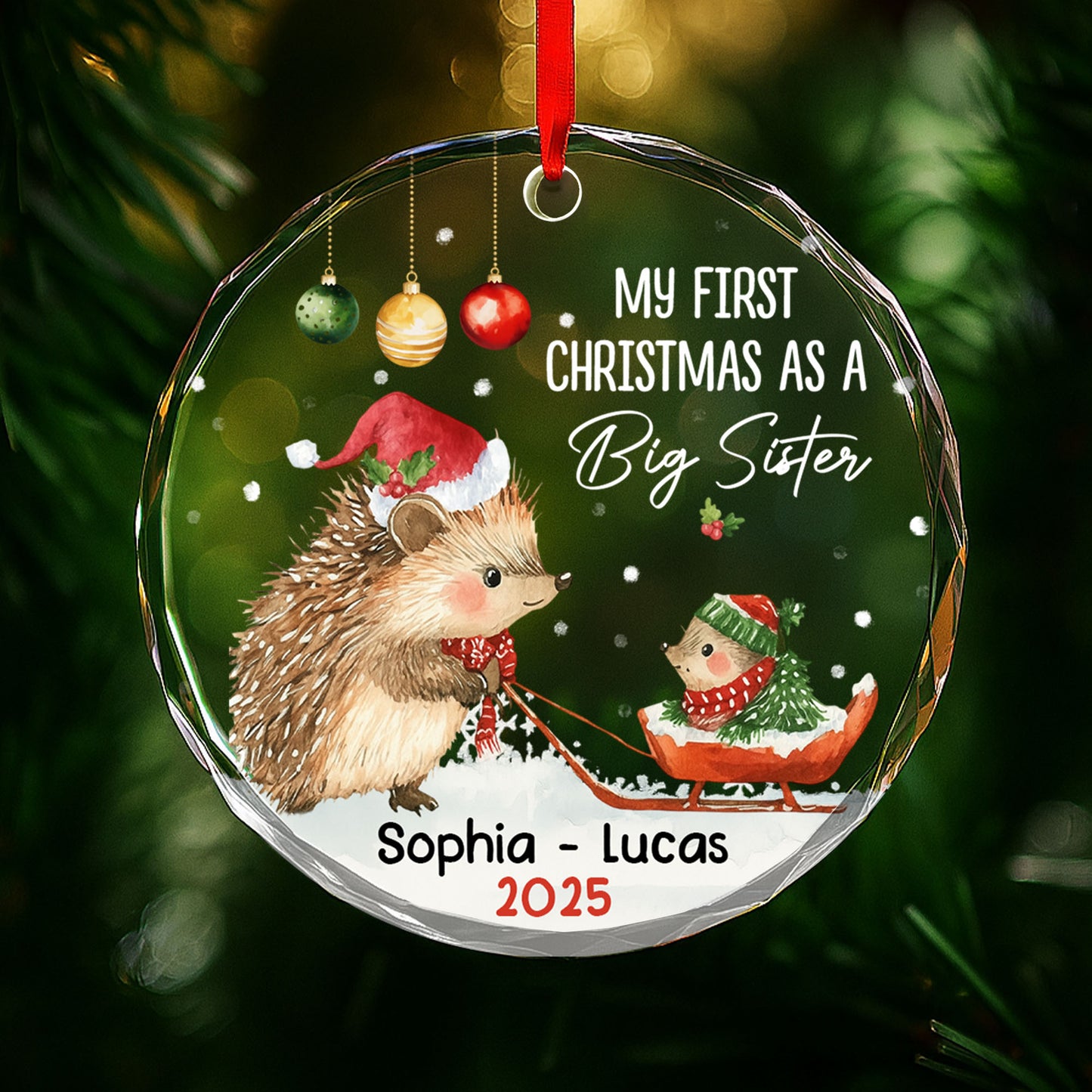 My First Christmas As A Big Sister With Hedgehogs