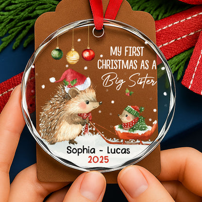 My First Christmas As A Big Sister With Hedgehogs