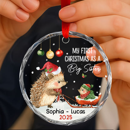 My First Christmas As A Big Sister With Hedgehogs